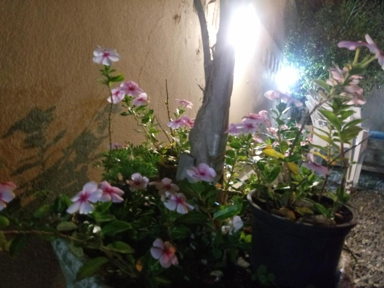 Pousada Leher São Gabriel Exterior foto